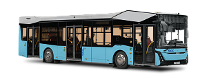 МАЗ-303